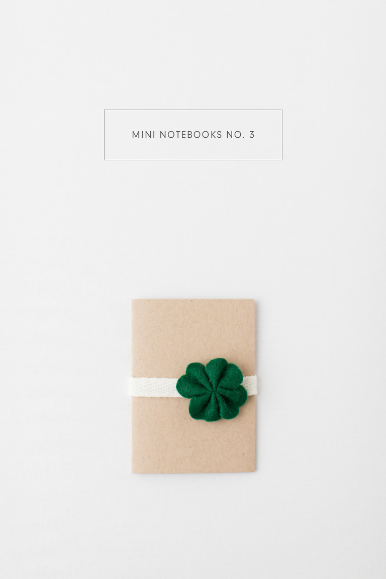 Mini Notebooks - March