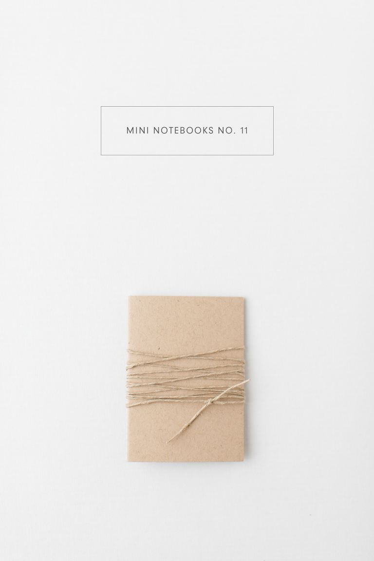 Mini Notebooks - November