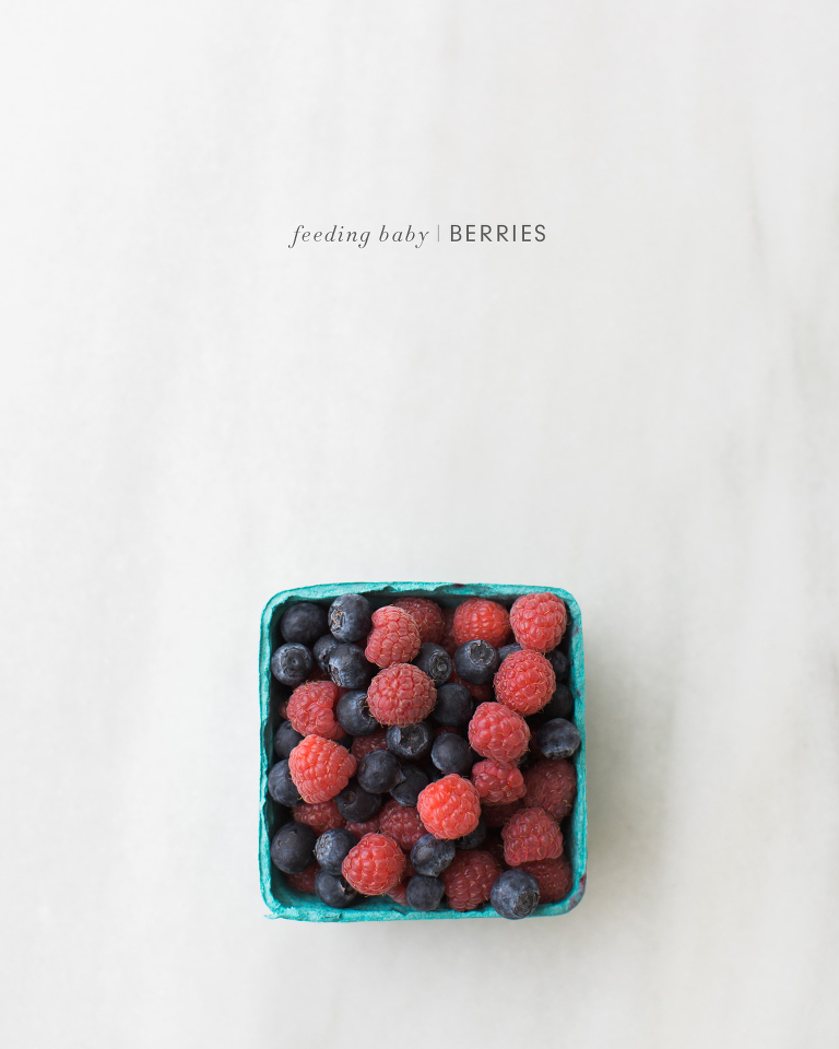 Feeding Baby Berries - lots of unique homemade baby food recipes and ideas