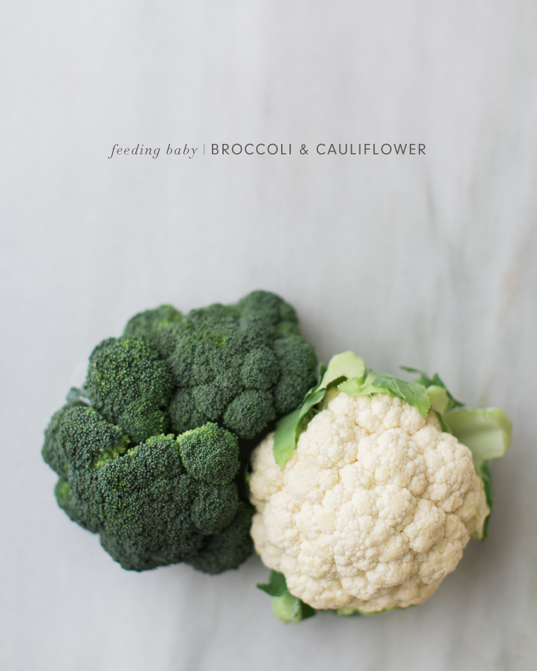 Feeding Baby Broccoli & Cauliflower - lots of unique homemade baby food recipes and ideas