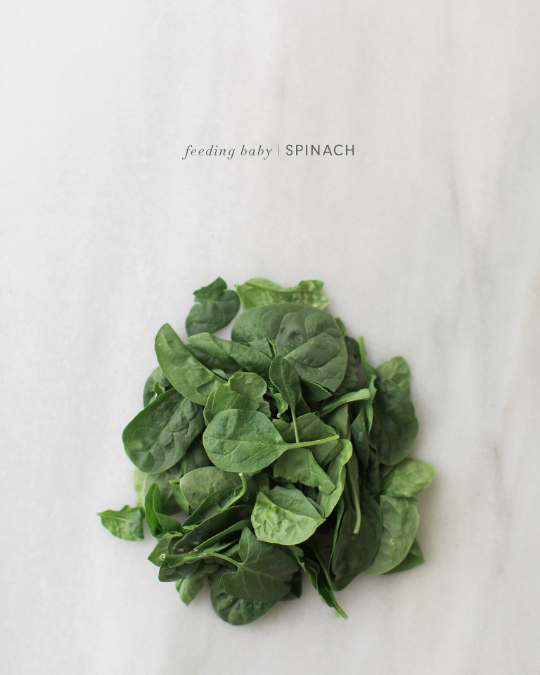 Feeding Baby Spinach - lots of unique homemade baby food recipes and ideas