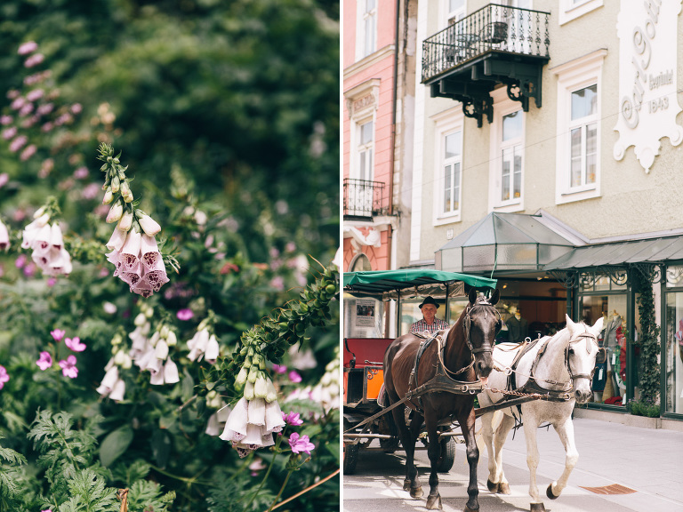 Bad Ischl Horse and Carriage