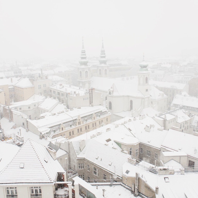 January in Vienna