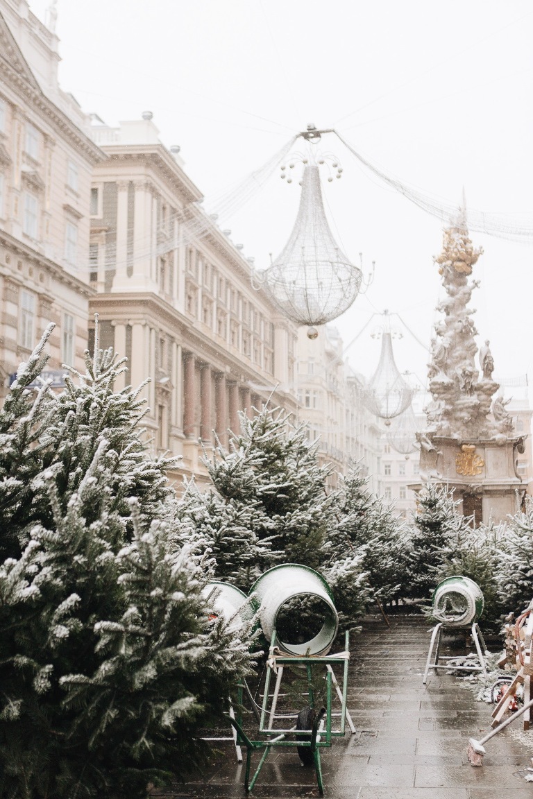 Christmas Trees on the Graben, Vienna